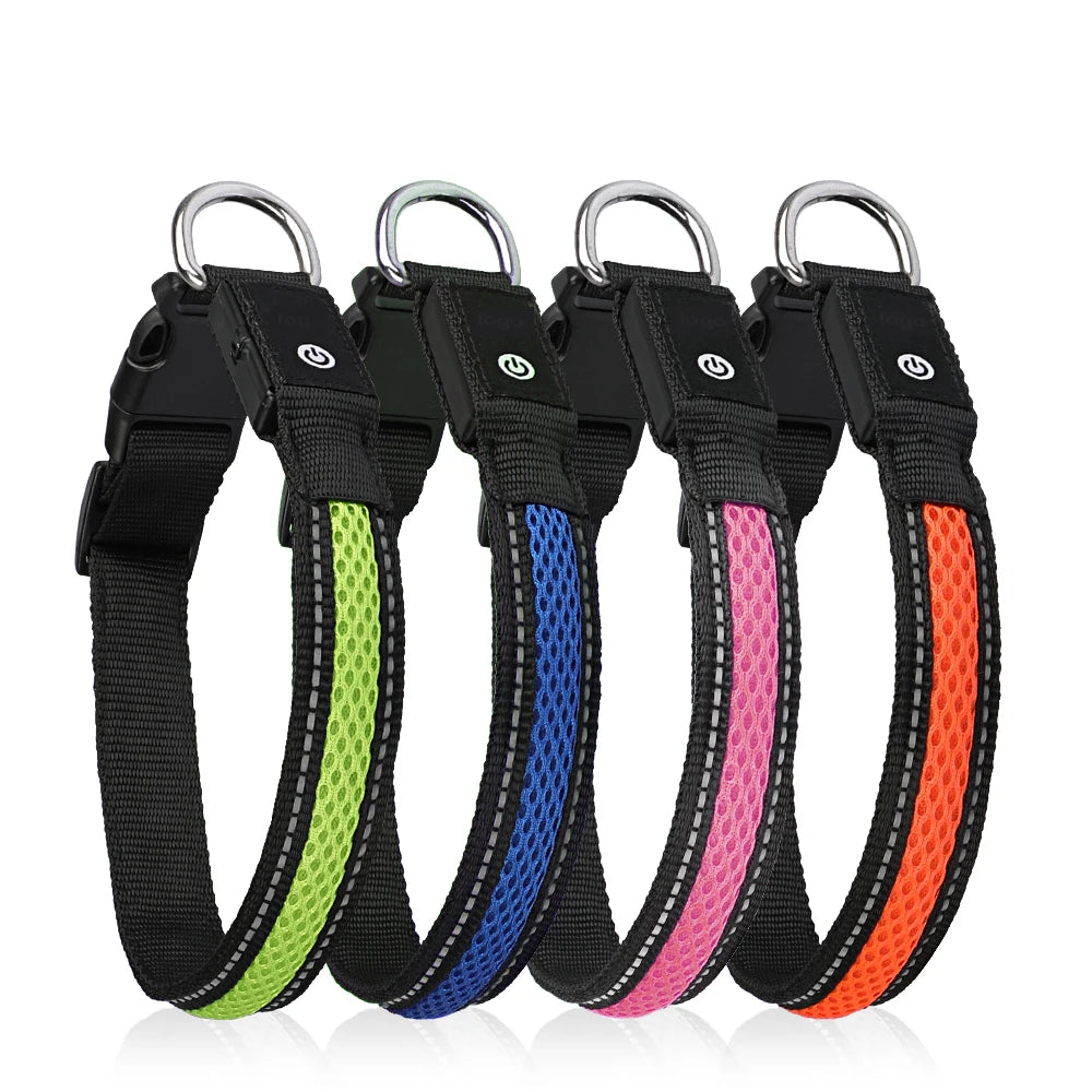 Collier sécurité pour chien