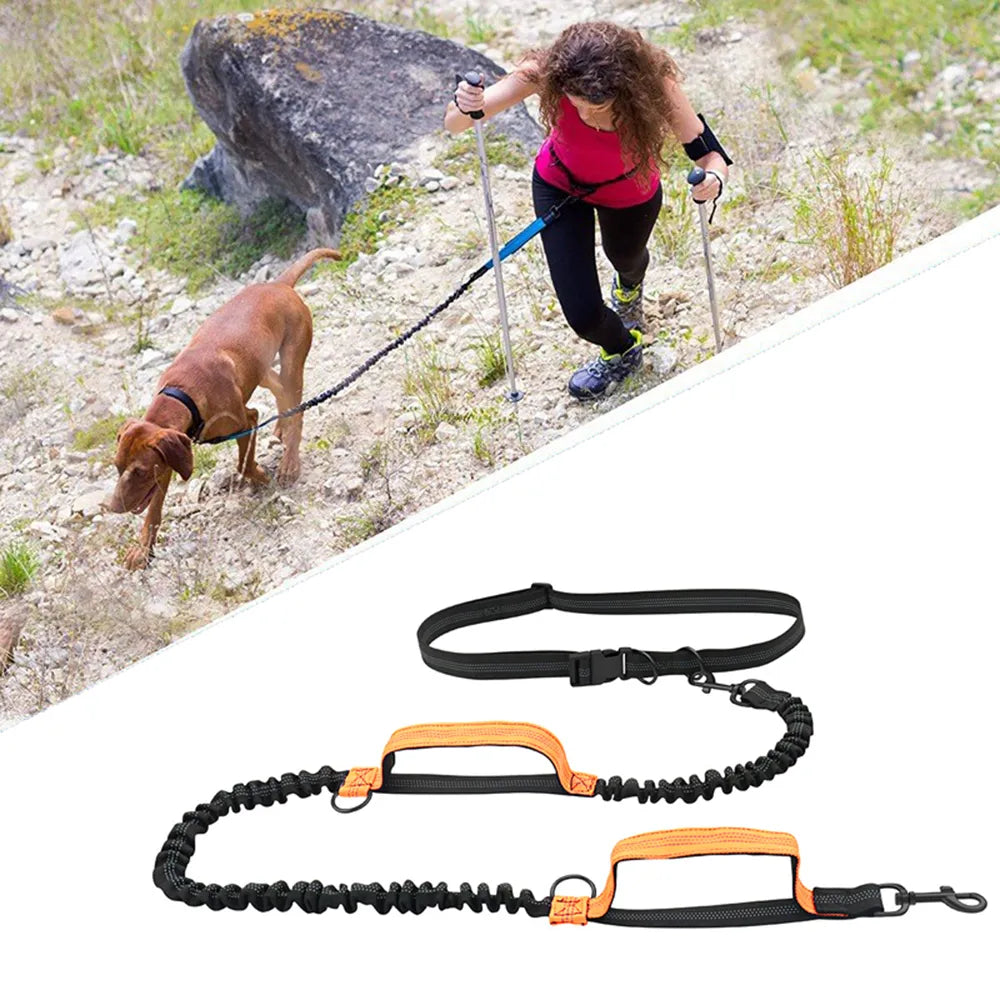 Longe extensible pour chien avec ceinture - spécial main libre