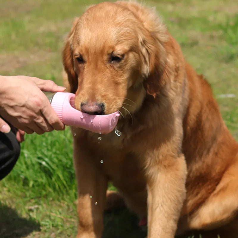 Gourde de voyage Solide 2 en 1 pour chiens et chats