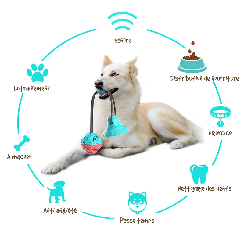 Jouet d'occupation a distribution de croquette pour chien