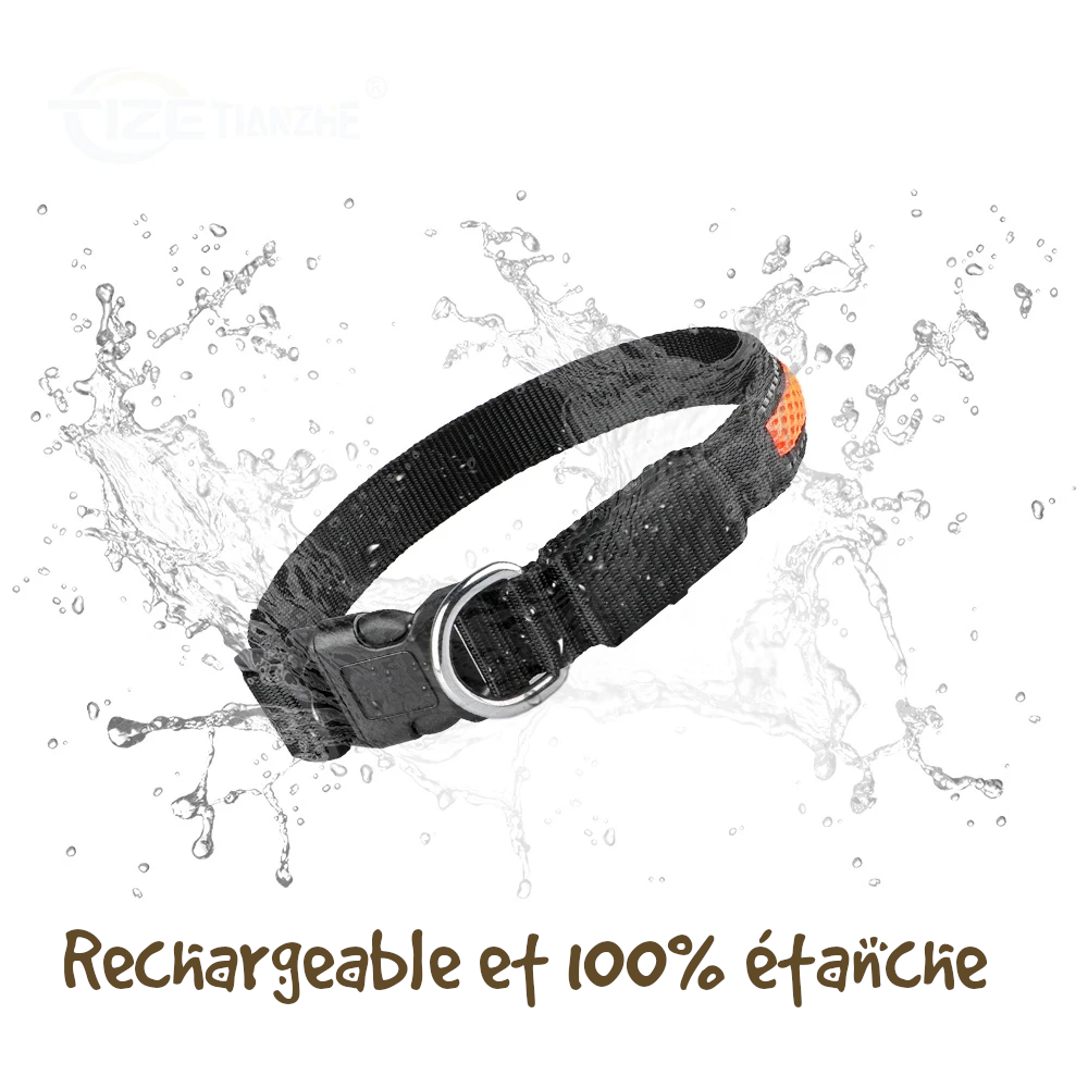 Collier sécurité pour chien