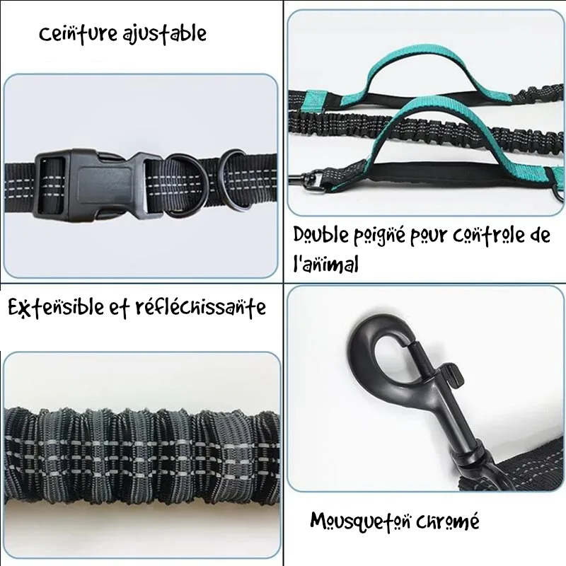 Longe extensible pour chien avec ceinture - spécial main libre