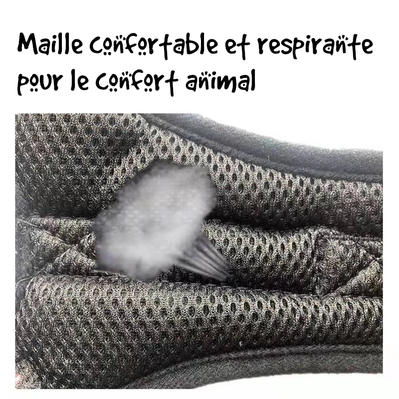 Harnais pour chien confortable et ajustable